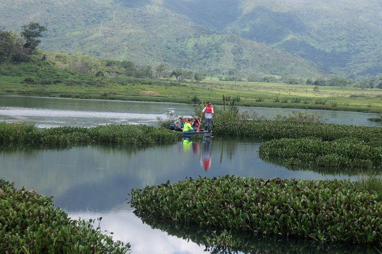 Recuperacion De Dique 1