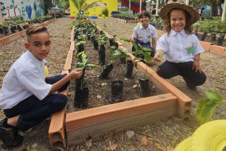 Mas De 300 Plantulas De Cafe Y Cacao Fueron Sembradas En Nuevo Vivero Escolar De La U.E. Batalla De Bombona En Naguanagua
