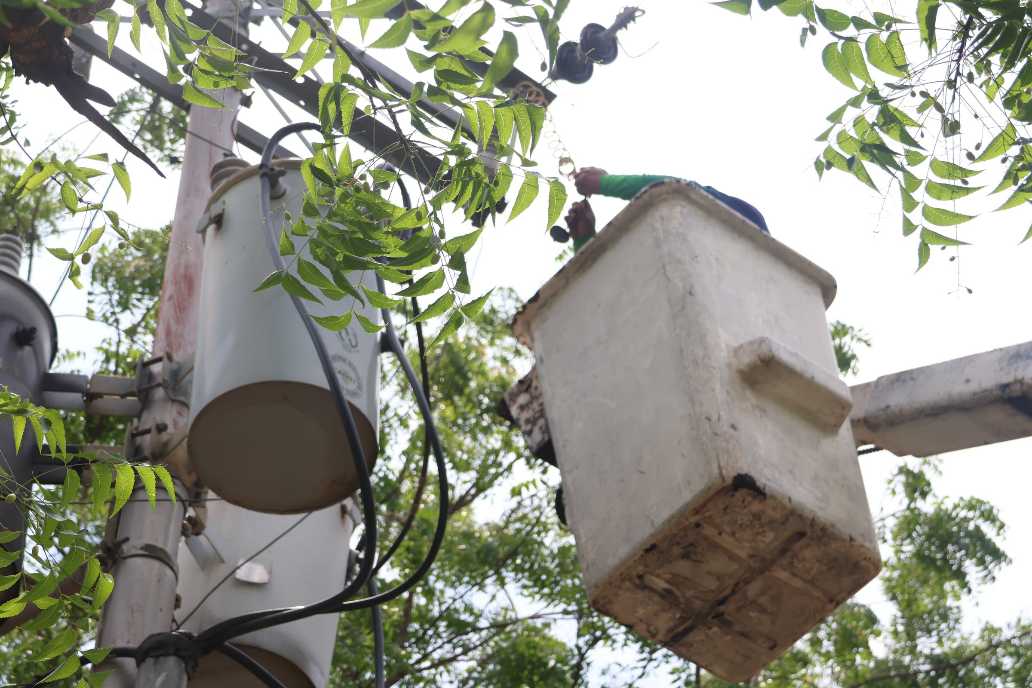 Alcaldia De San Diego Avanza En Jornada De Poda Y Mantenimiento Electrico Para Prevenir Fallas En Diversos Sectores