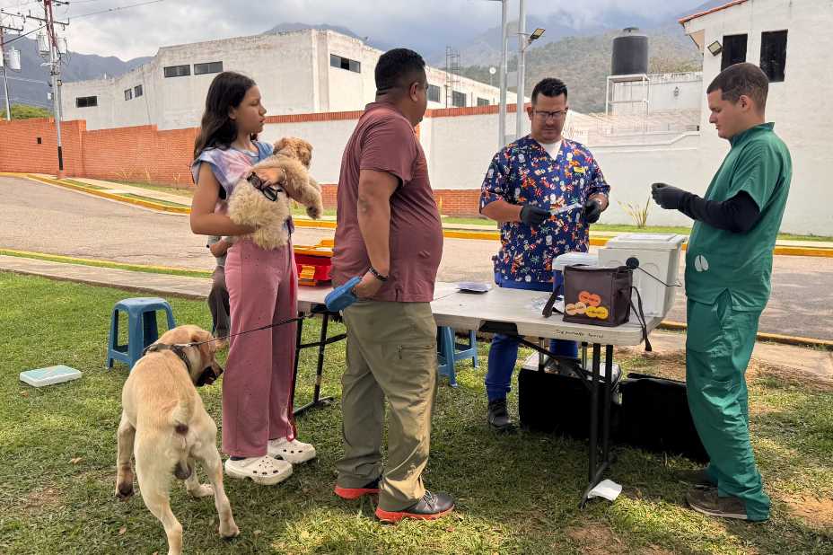 Alcaldia De San Diego Garantiza El Bienestar De Las Mascotas Con Jornadas Gratuitas De Vacunacion
