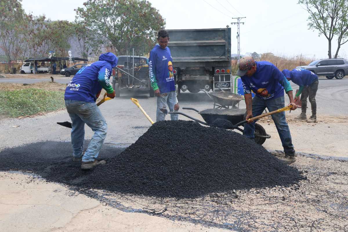 Alcaldia De San Diego