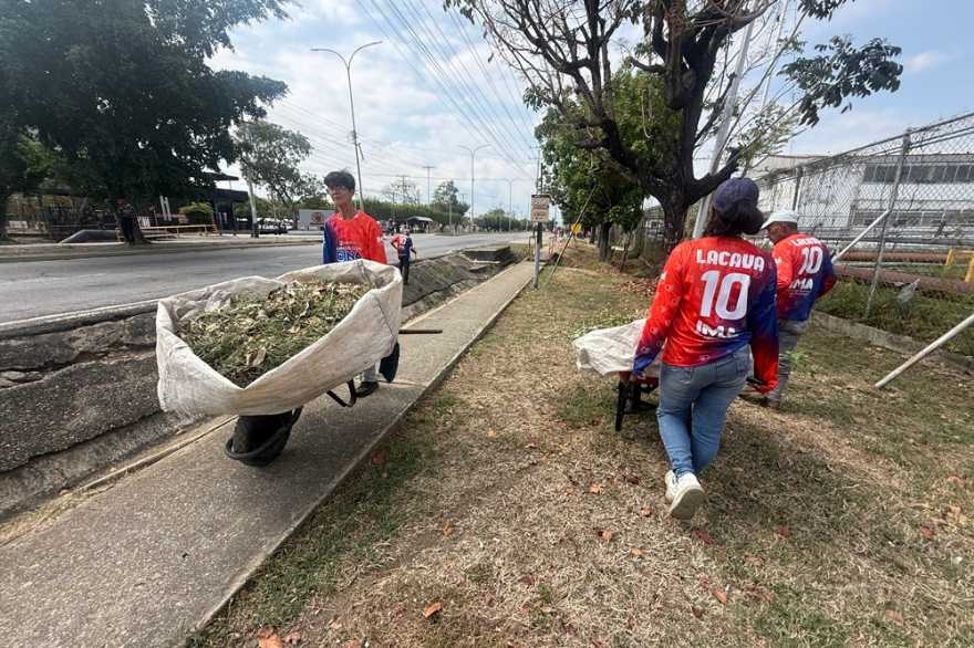IMA Activa Jornada Integral De Limpieza En La Zona Industrial De Valencia
