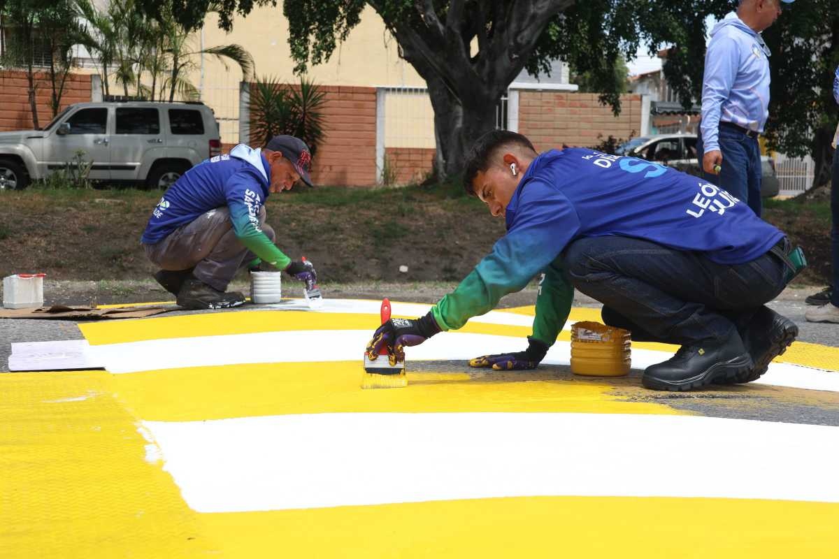 Vialsandi IAM Efectua Demarcacion De Reductores De Velocidad En La Avenida Don Julio Centeno