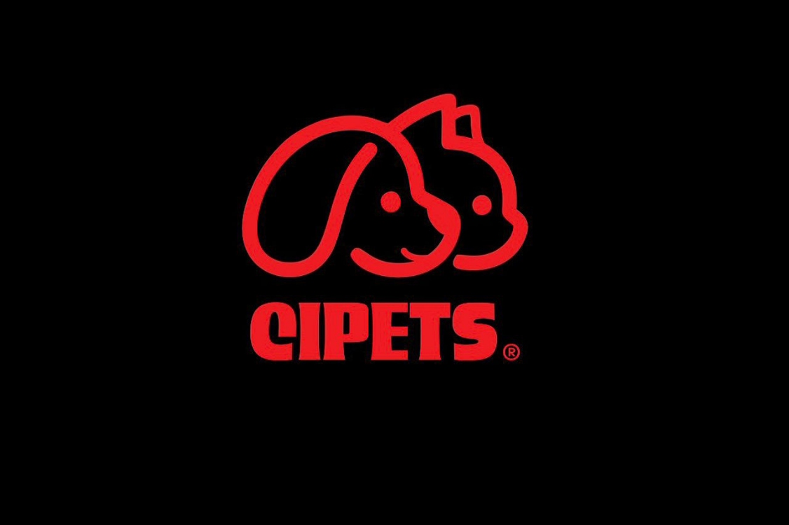 Valencia Sera Sede Del I Congreso Internacional De Pequenos Animales Y Mascotas Cipets